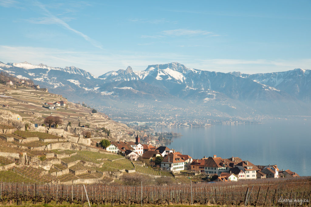 suisse en hiver vignobles de lavaux