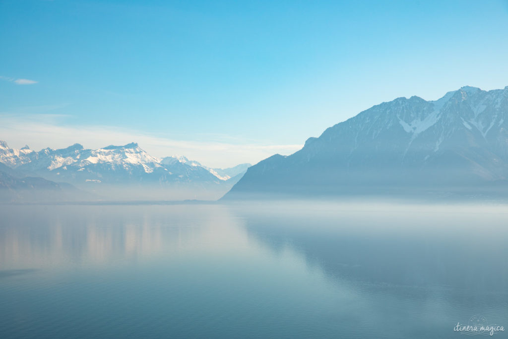 suisse en hiver vignobles de lavaux