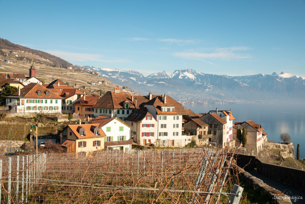 suisse en hiver vignobles de lavaux