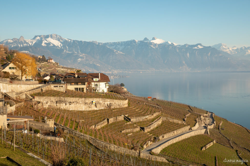 suisse en hiver vignobles de lavaux