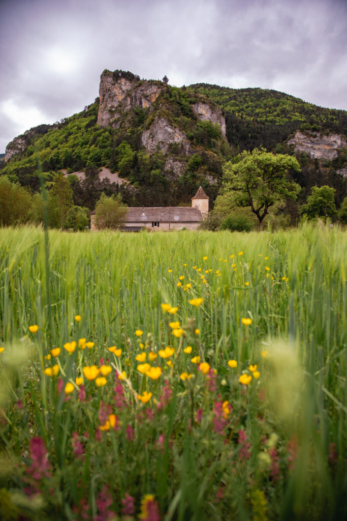 glandage diois