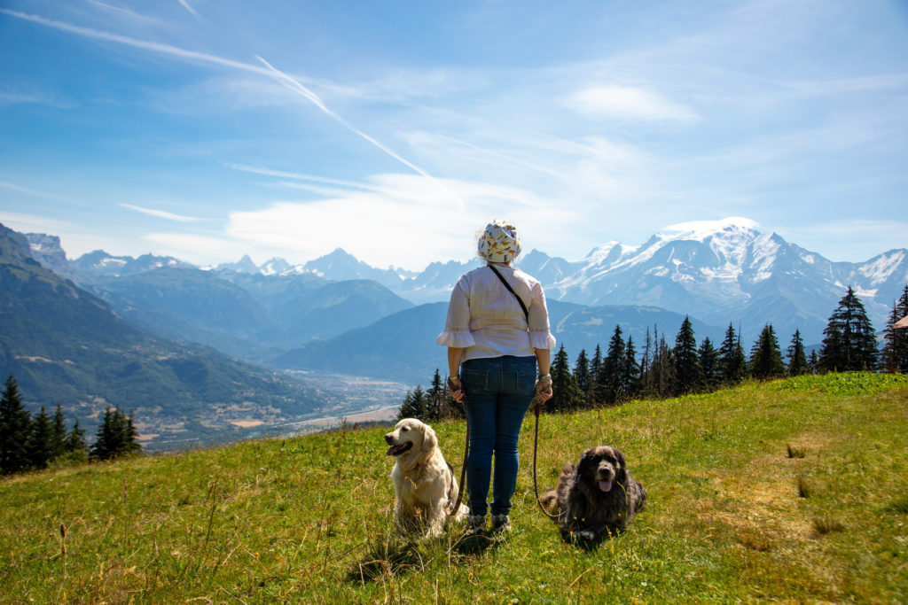 Rencontrer un chien de protection en randonnée: faut-il avoir peur des patous? Et si on randonne avec son chien? Un article ressource sur le pastoralisme.
