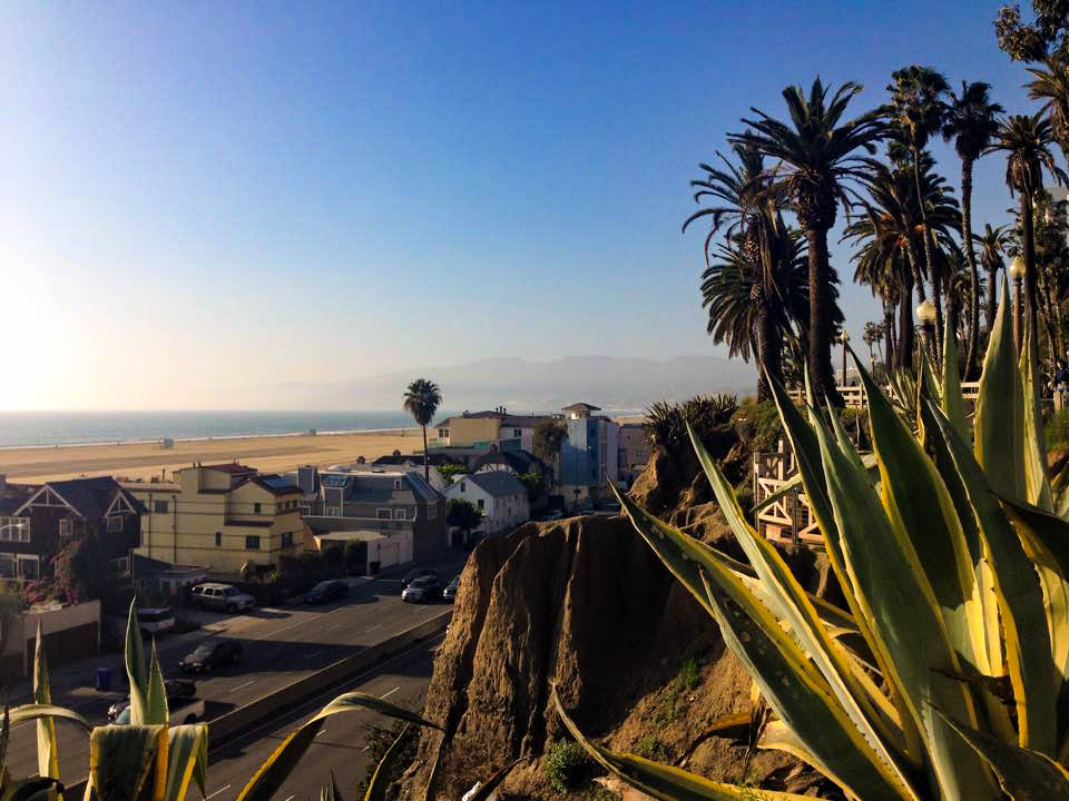 Agaves et plage.