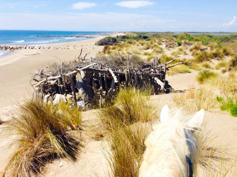 Am Strand "Grand Radeau".