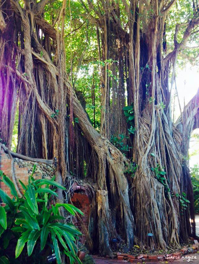 Key West, paradis tropical, jardin enchanté, est aussi le lieu de fête privilégié de la communauté LGBT. Venez bronzer sous l'arc-en-ciel !