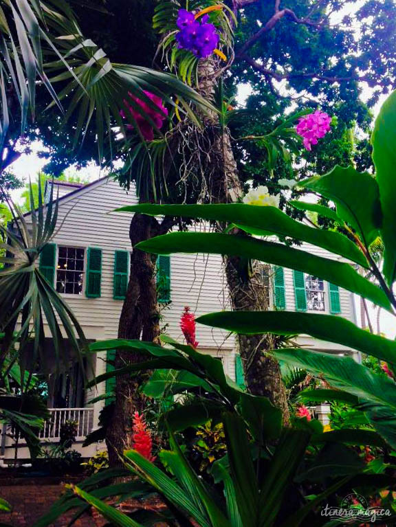 Key West, paradis tropical, jardin enchanté, est aussi le lieu de fête privilégié de la communauté LGBT. Venez bronzer sous l'arc-en-ciel !