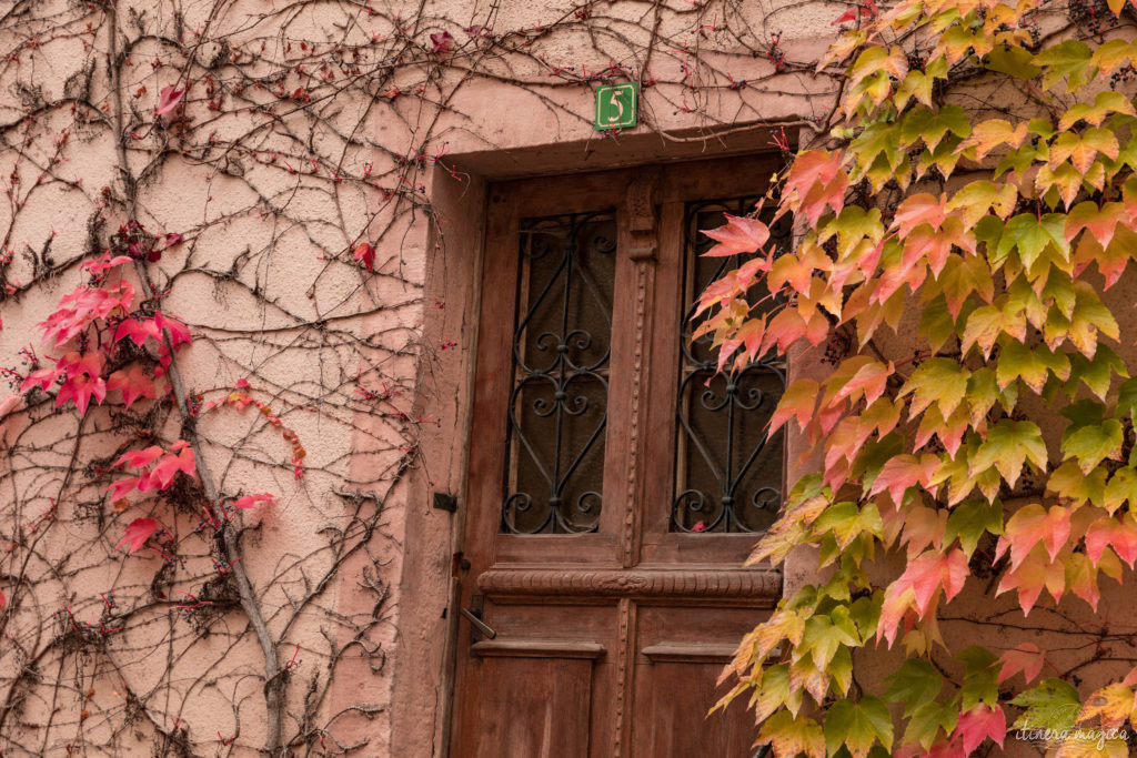 Que voir en Alsace à l'automne ? 
