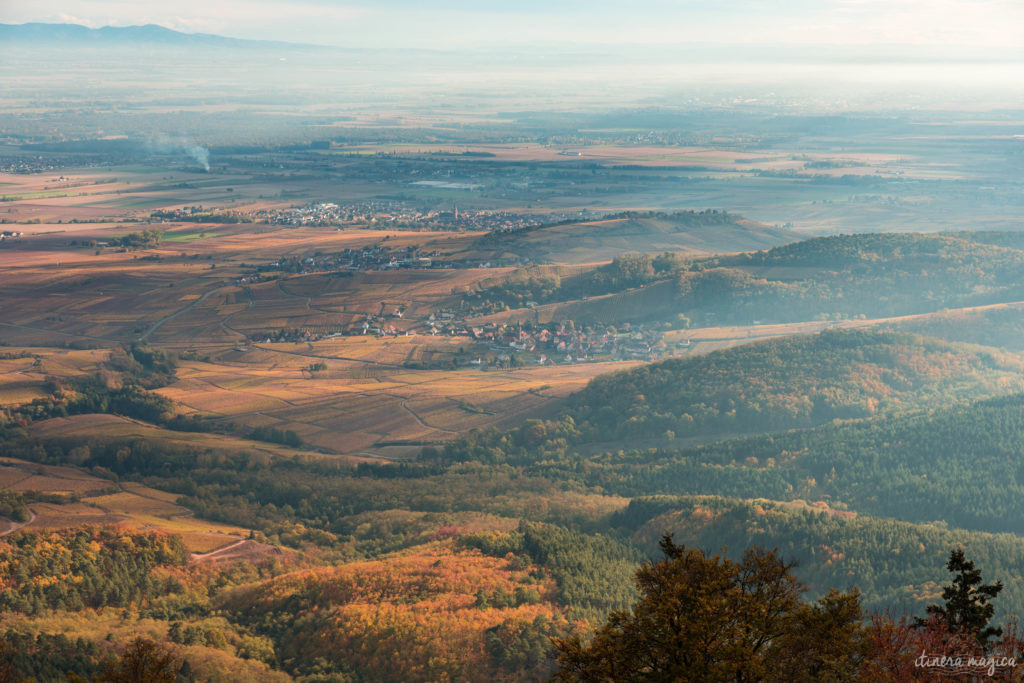 Que voir en Alsace à l'automne ? 