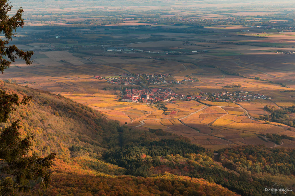 Que voir en Alsace à l'automne ?