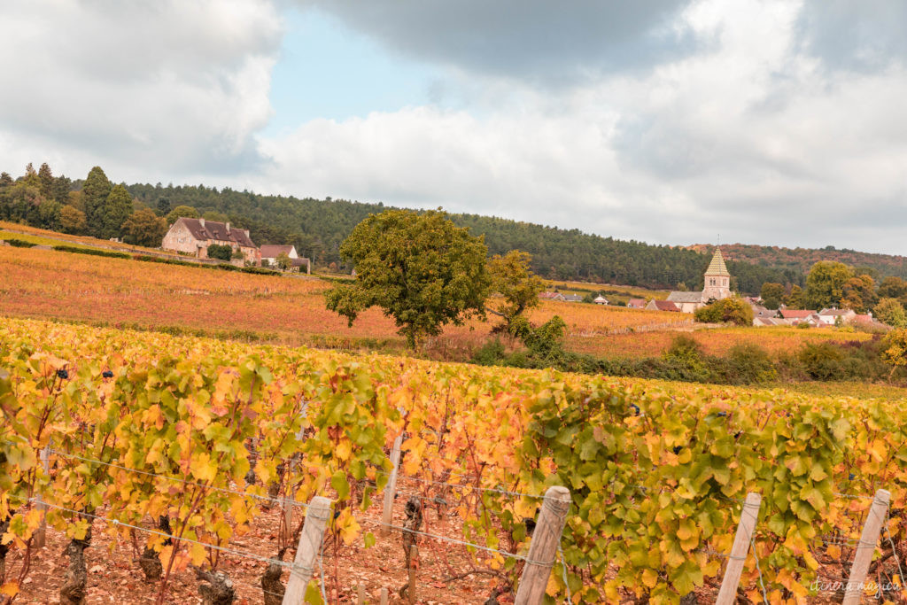 De Dijon à Beaune, prenons la route des vins de Bourgogne, entre grands crus et hôtels de luxe. Un séjour romantique au coeur de la Bourgogne
