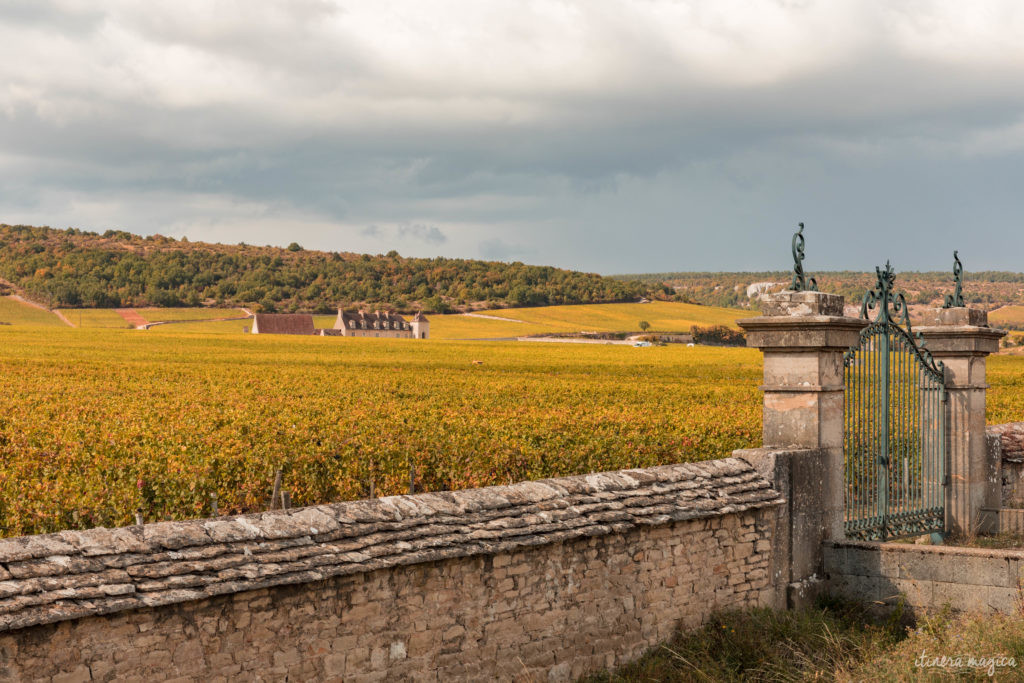 Sur la route des vins de Bourgogne en automne : le clos Vougeot
