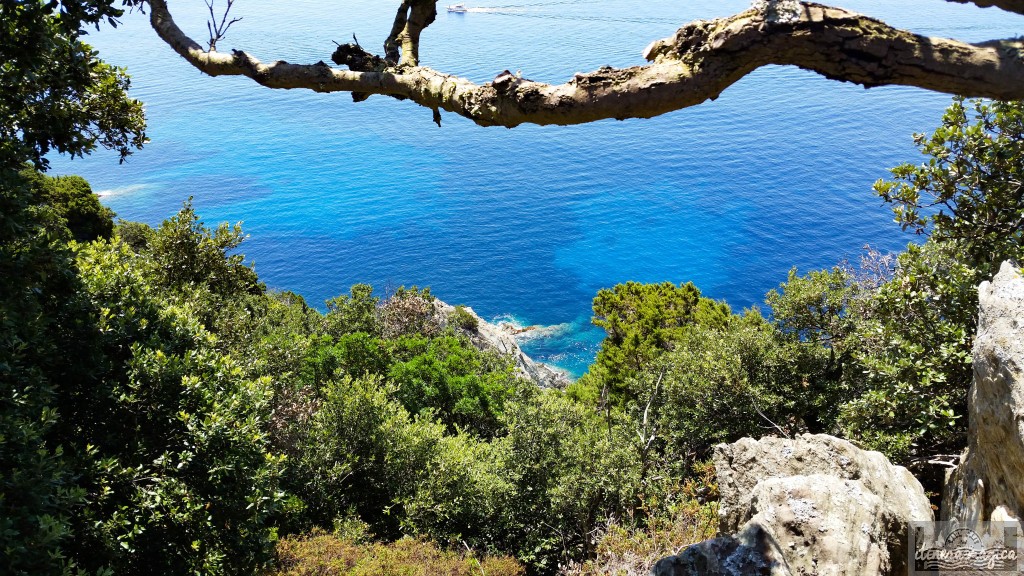 Port-Cros, côte d'azur, plage, voyage, paradis, calanque, mer