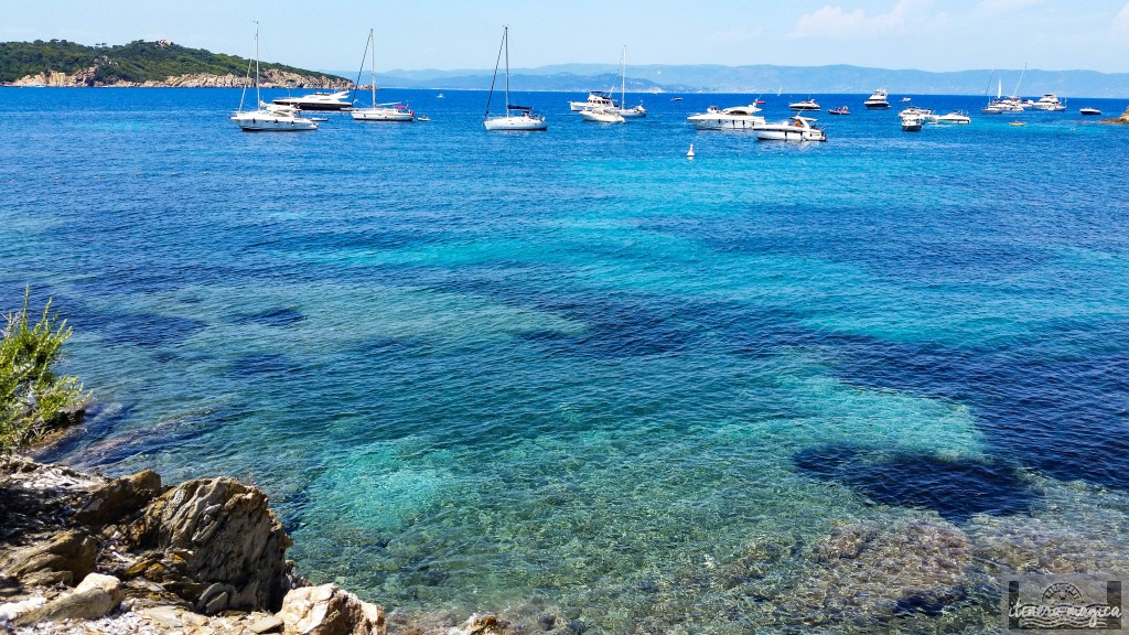 Port-Cros, côte d'azur, plage, voyage, paradis, eau, méditerranée, paca