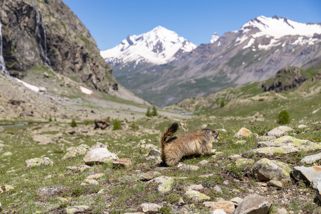 Où partir en vacances dans les Alpes en été ?