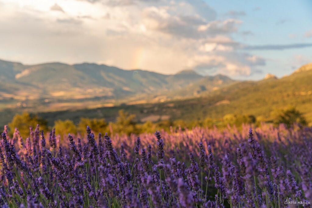 Mes articles pour découvrir la Provence