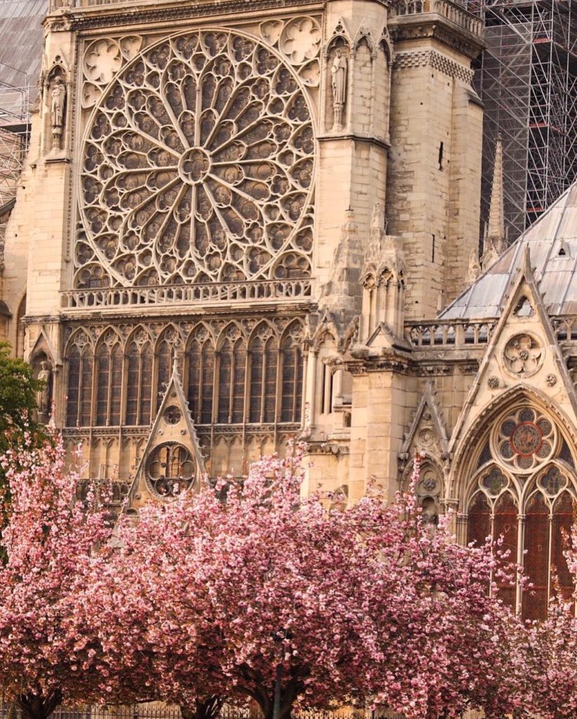 notre dame avant l'incendie