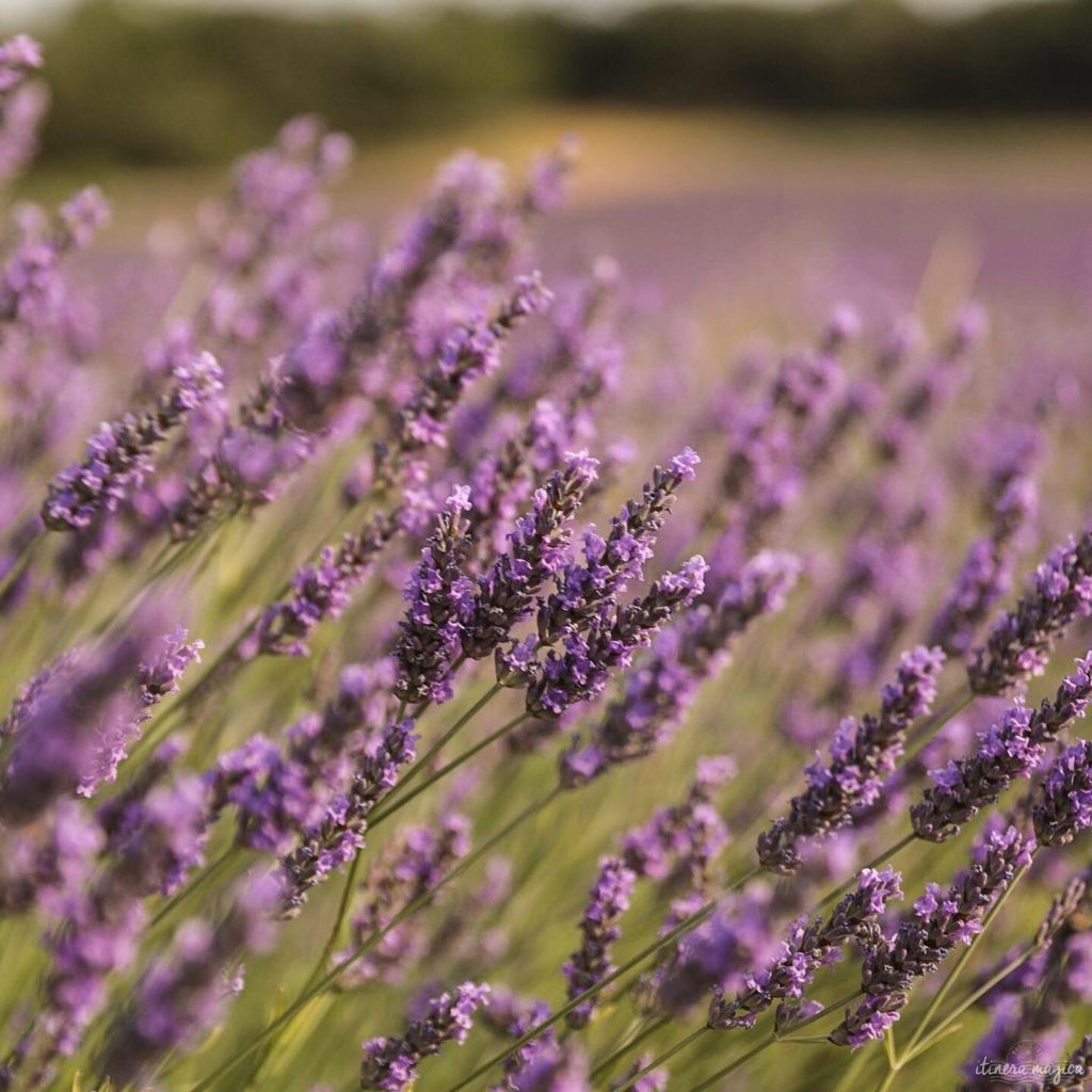 plus beaux sites naturels de provence