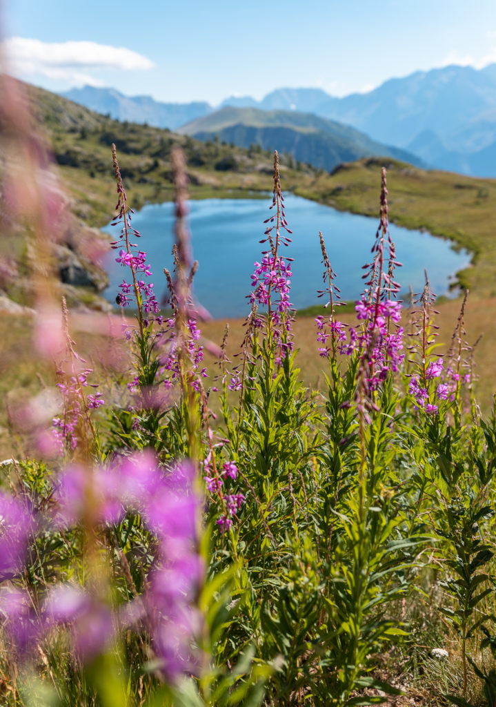 Que faire à l'Alpe d'Huez en été ? Blog sur l'Alpe d'Huez côté rando et sport outdoor.