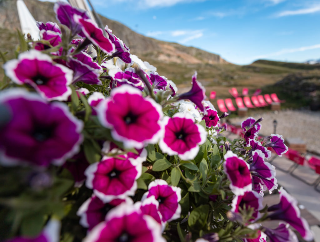 Où manger et où dormir à l'Alpe d'Huez ? Bonnes adresses restos et hôtels