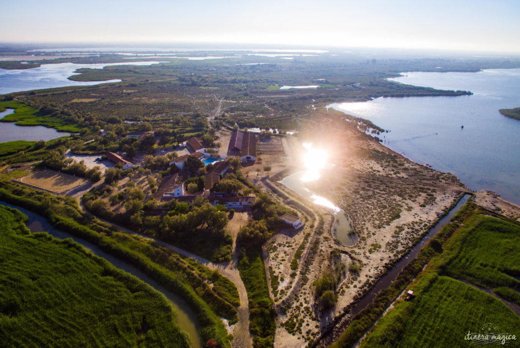 Au coeur de la Camargue : le Mas Cacharel