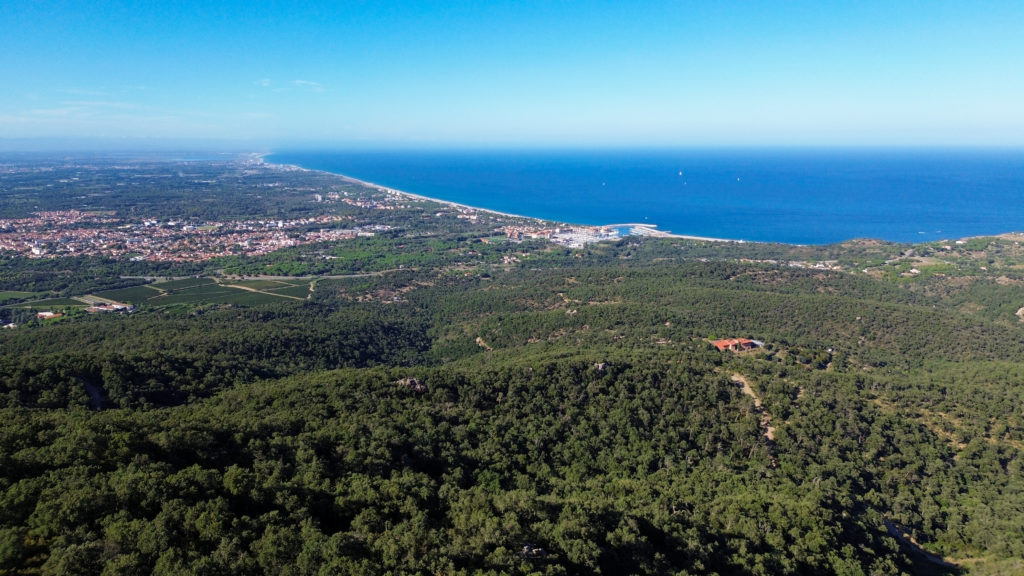 voyager à argelès : randonnées en pleine nature avec mon chien
