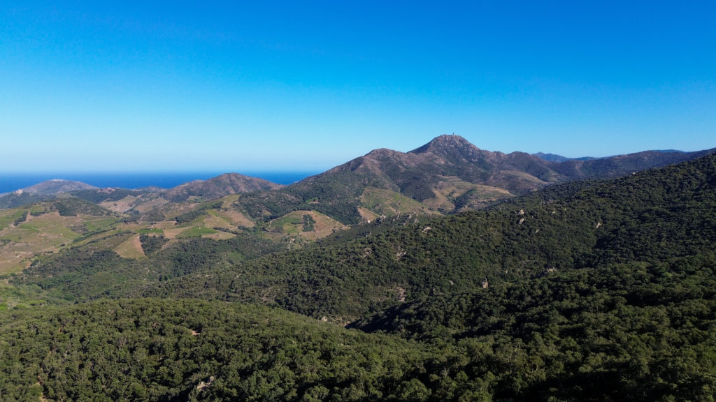 voyager à argelès : randonnées en pleine nature avec mon chien