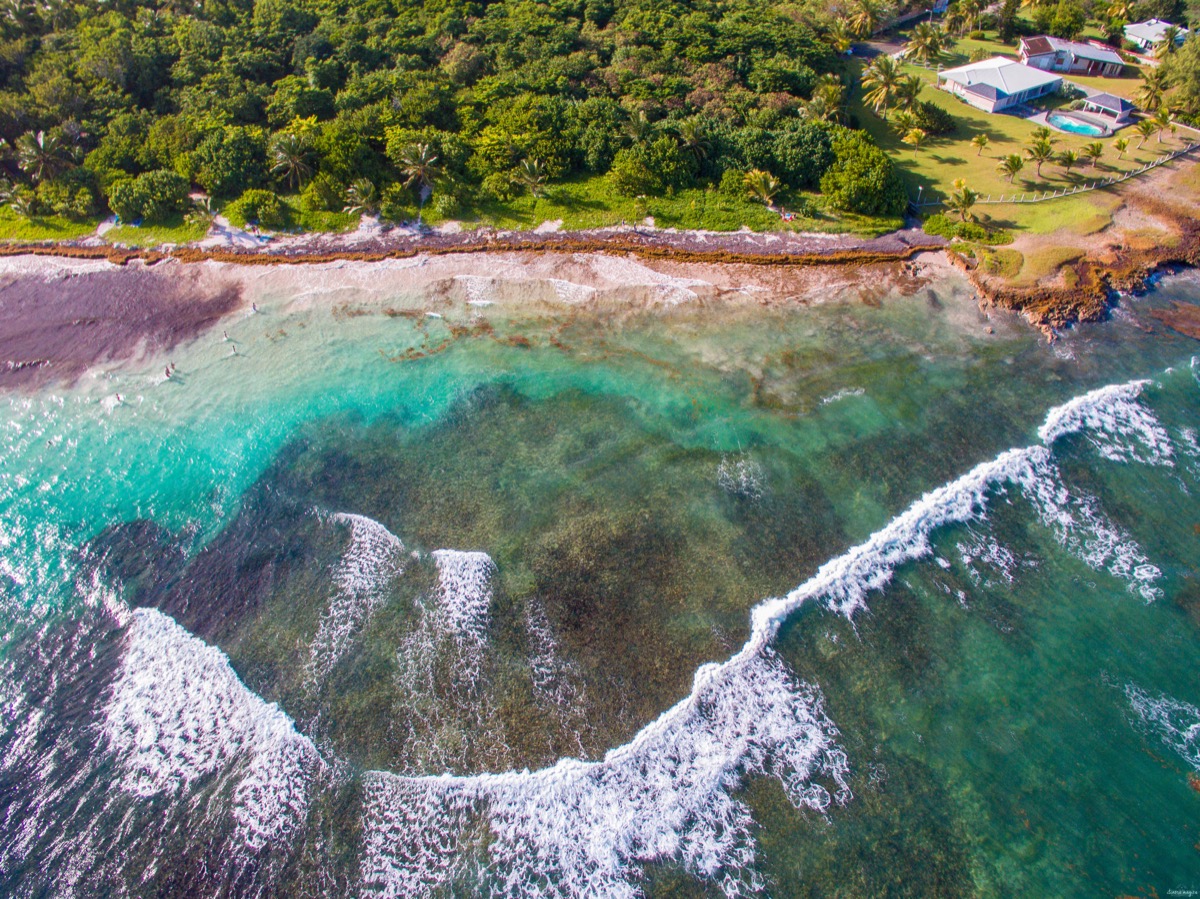 Mes incontournables en Martinique : un itinéraire d'une semaine en Martinique avec petit budget. Mes coups de coeur en Martinique.