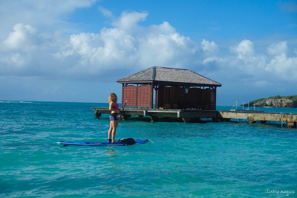 On my board in Guadeloupe.