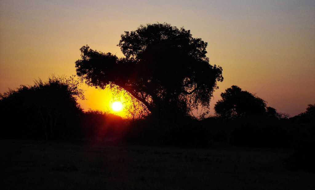 Crépuscule austral.