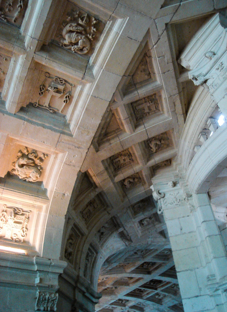 Salamandres aux murs et plafonds de Chambord.