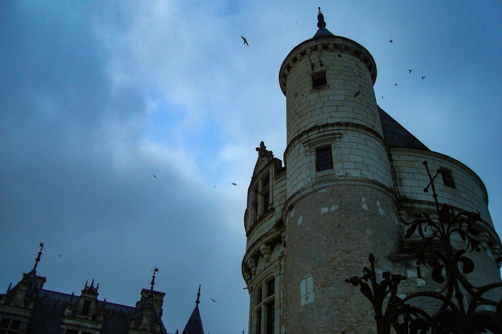 Chenonceau et ses oiseaux obstinés.