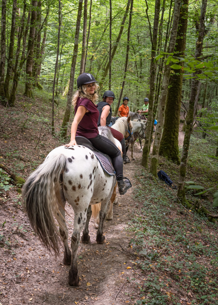 tourisme équestre vosges du sud