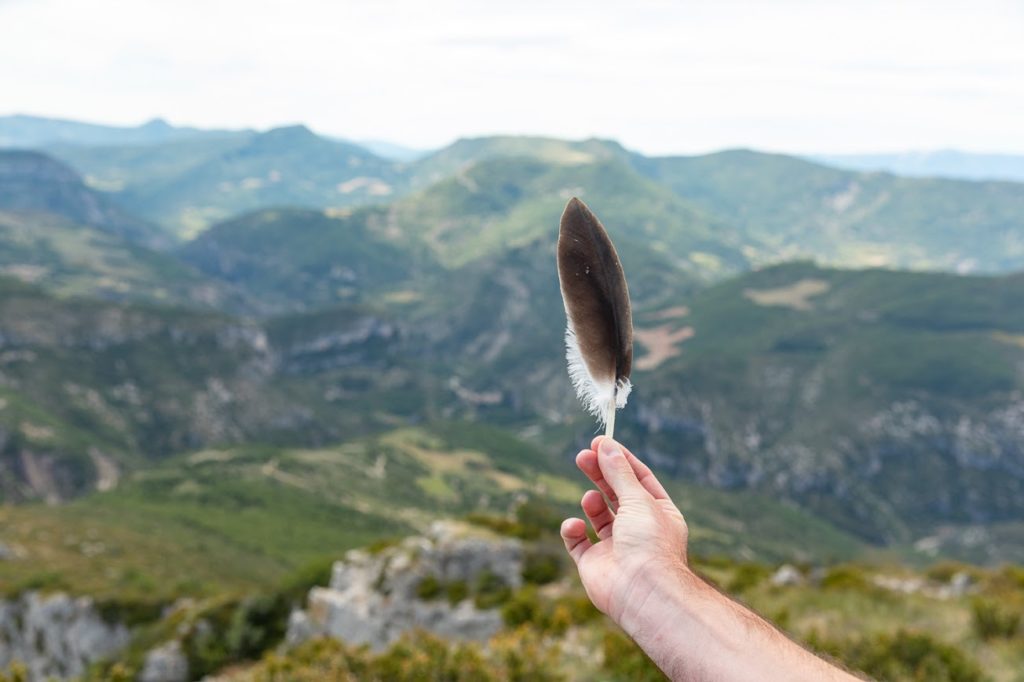 randonnées en drôme provençale : baronnies provençales