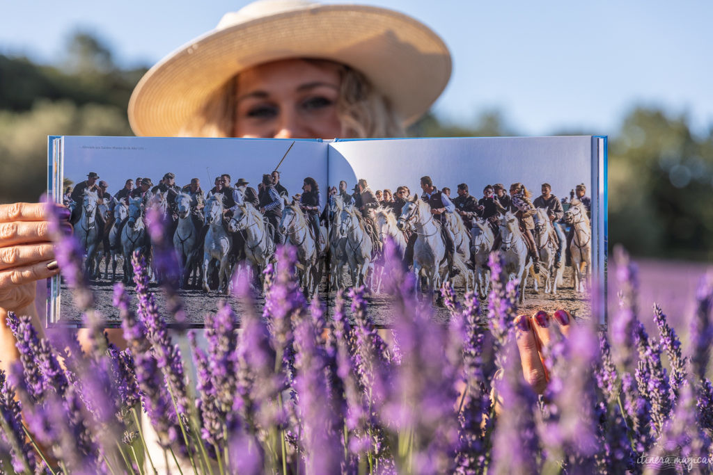 Mon livre sur la Provence : La Provence, on l'aime pour..., par Ariane Fornia