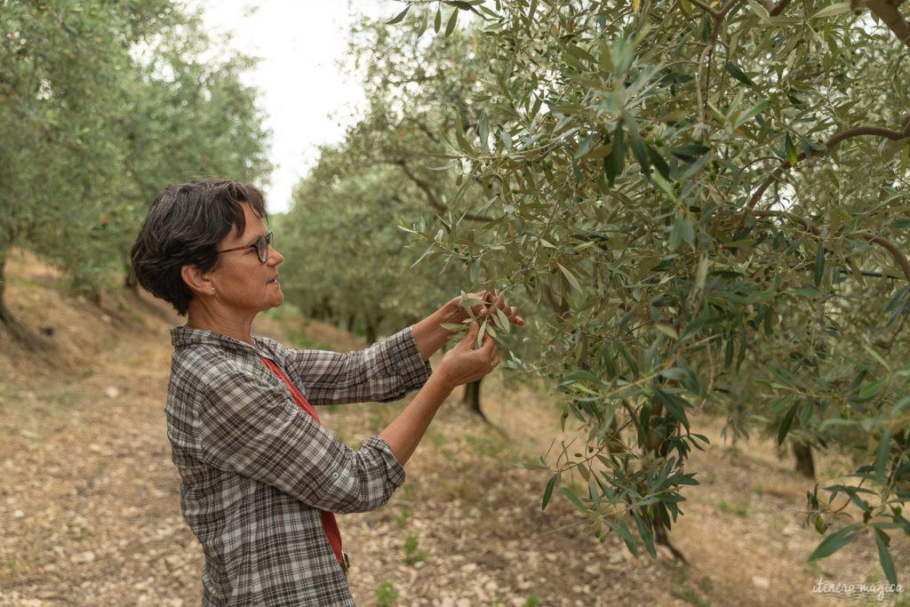 Découvrez l'olive noire de Nyons AOP et des recettes à base d'olive, d'huile d'olive et d'affinade.