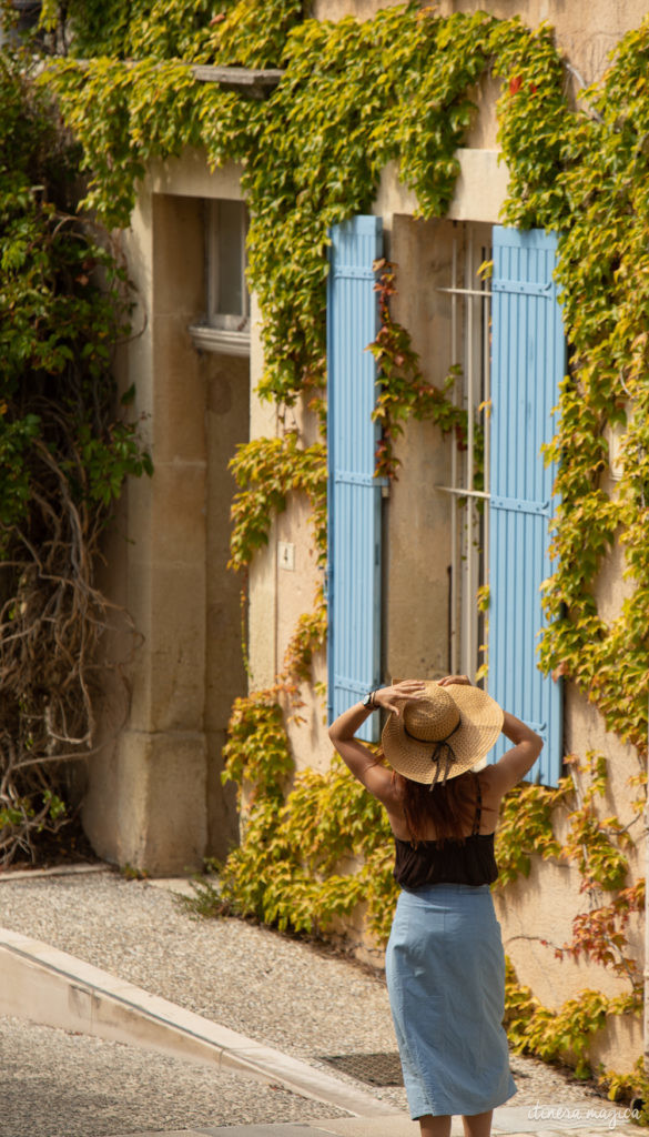 Die Ölbaum-Route in der Provence: entdecken Sie eine geheime, untouristische Provence, im Herzen des Naturparks der Baronnies provençales.