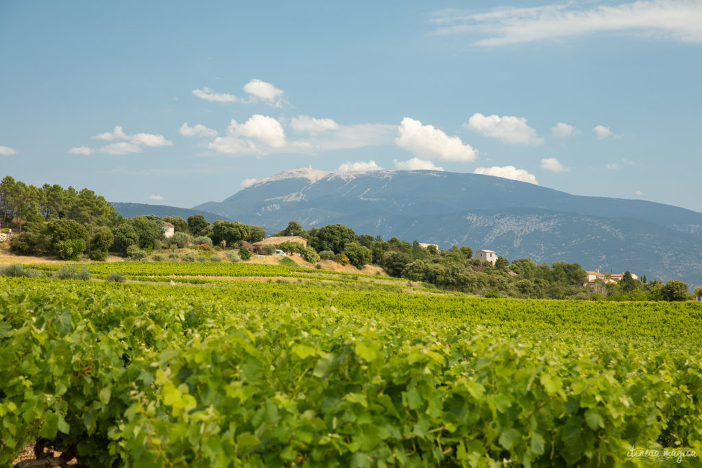 sur la route de l'olivier en baronnies provençales