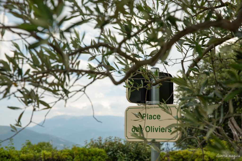 sur la route de l'olivier en baronnies provençales