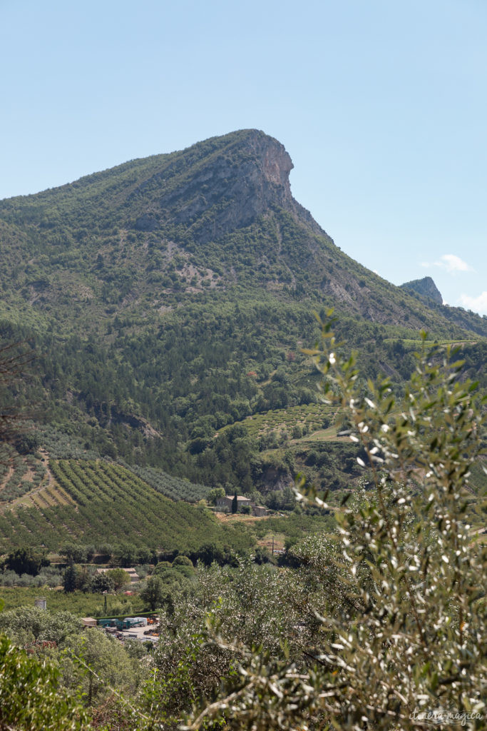 sur la route de l'olivier en baronnies provençales
