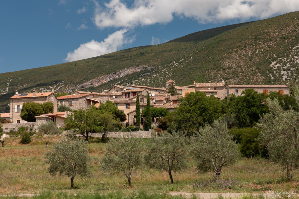 sur la route de l'olivier en baronnies provençales