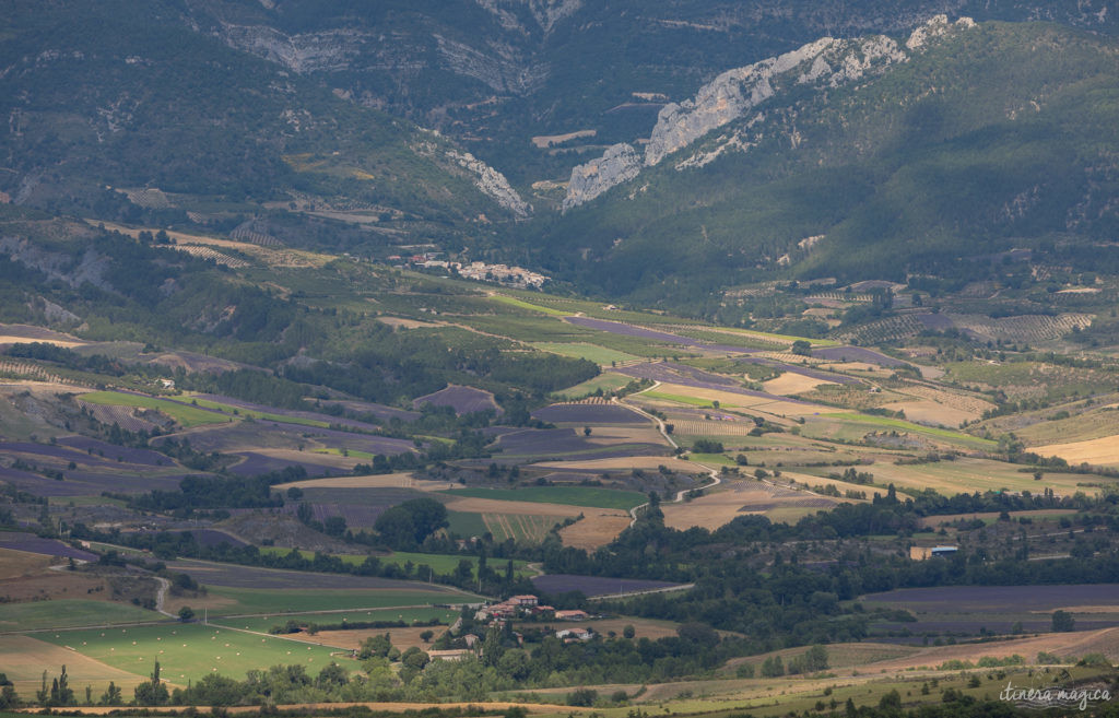 Die Ölbaum-Route in der Provence: entdecken Sie eine geheime, untouristische Provence, im Herzen des Naturparks der Baronnies provençales.