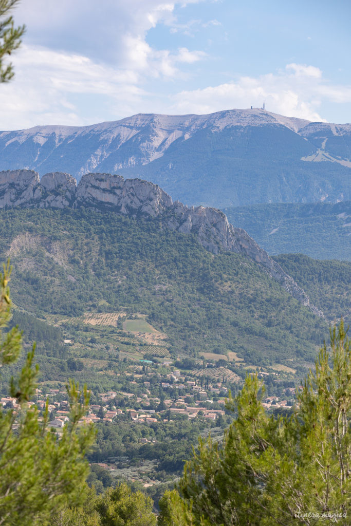 Sur la route de l'olivier en Baronnies provençales.