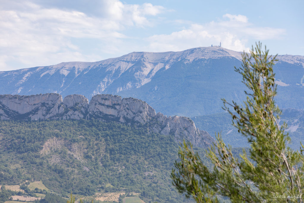 Sur la route de l'olivier en Baronnies provençales.