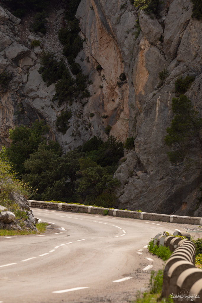 Die Ölbaum-Route in der Provence: entdecken Sie eine geheime, untouristische Provence, im Herzen des Naturparks der Baronnies provençales.