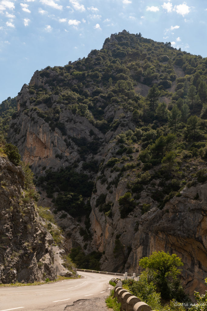 Sur la route de l'olivier en Baronnies provençales.