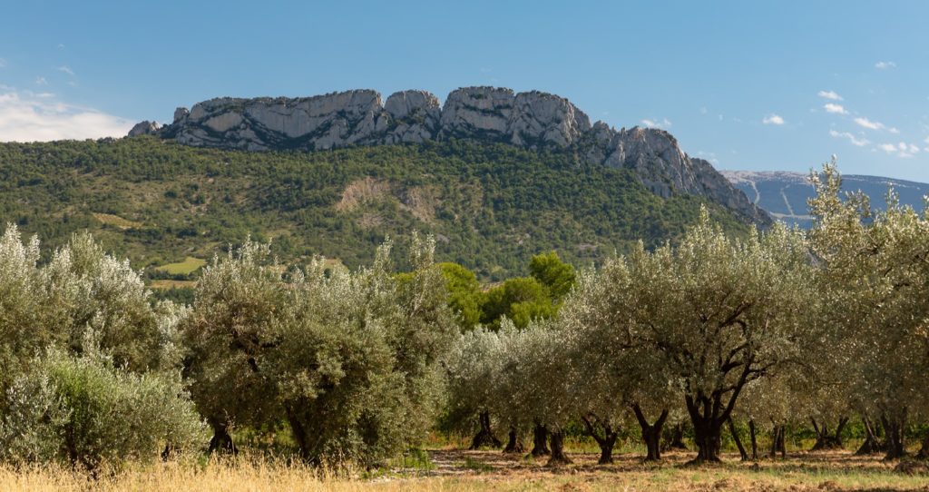 Les Baronnies provençales: plus belles randonnées, villages, activités de pleine nature et lavandes de la Drôme.