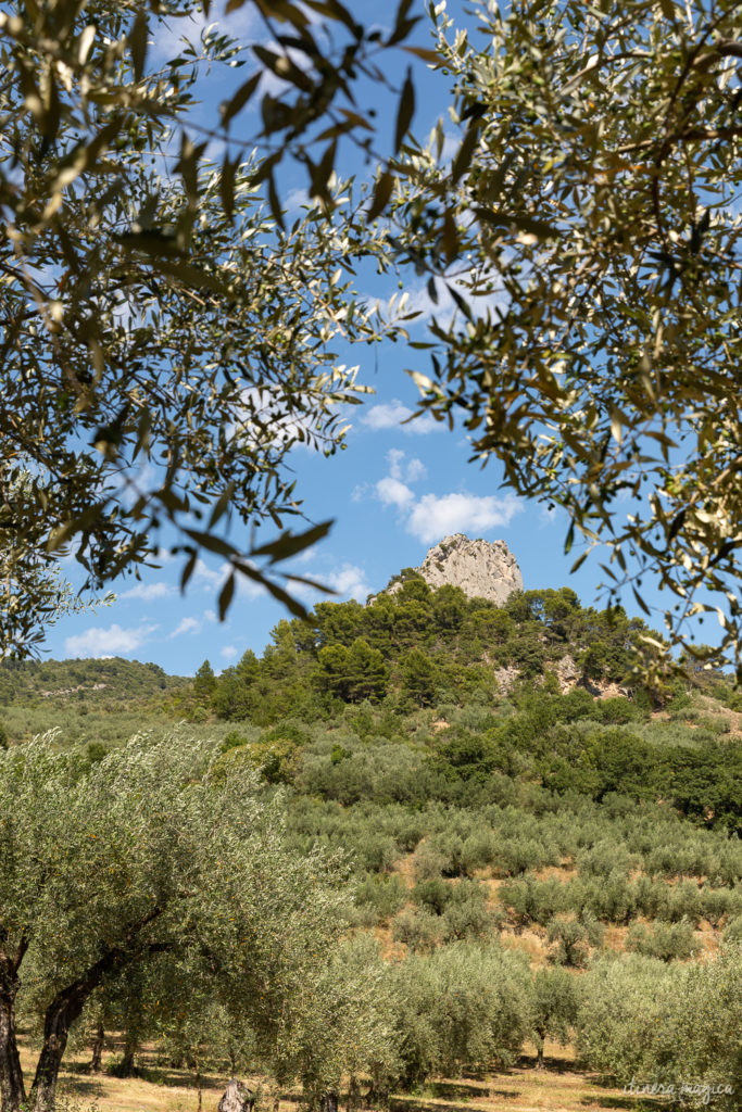 Sur la route de l'olivier en Baronnies provençales.