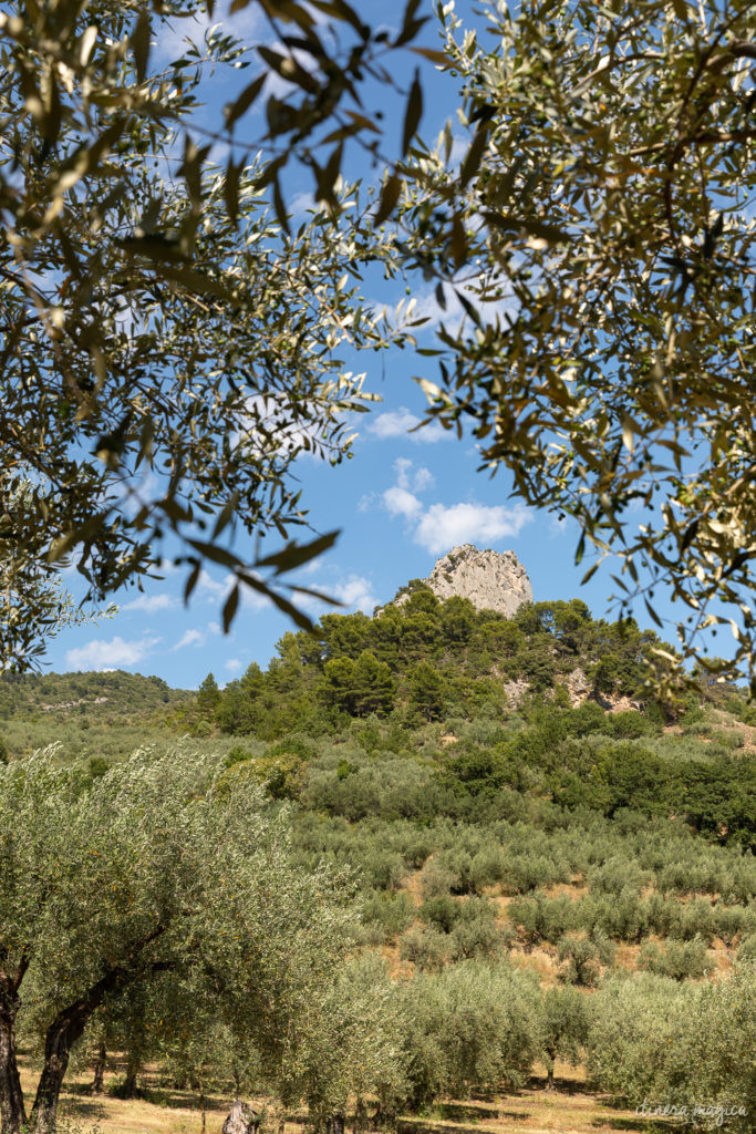 Sur la route de l'olivier en Baronnies provençales.