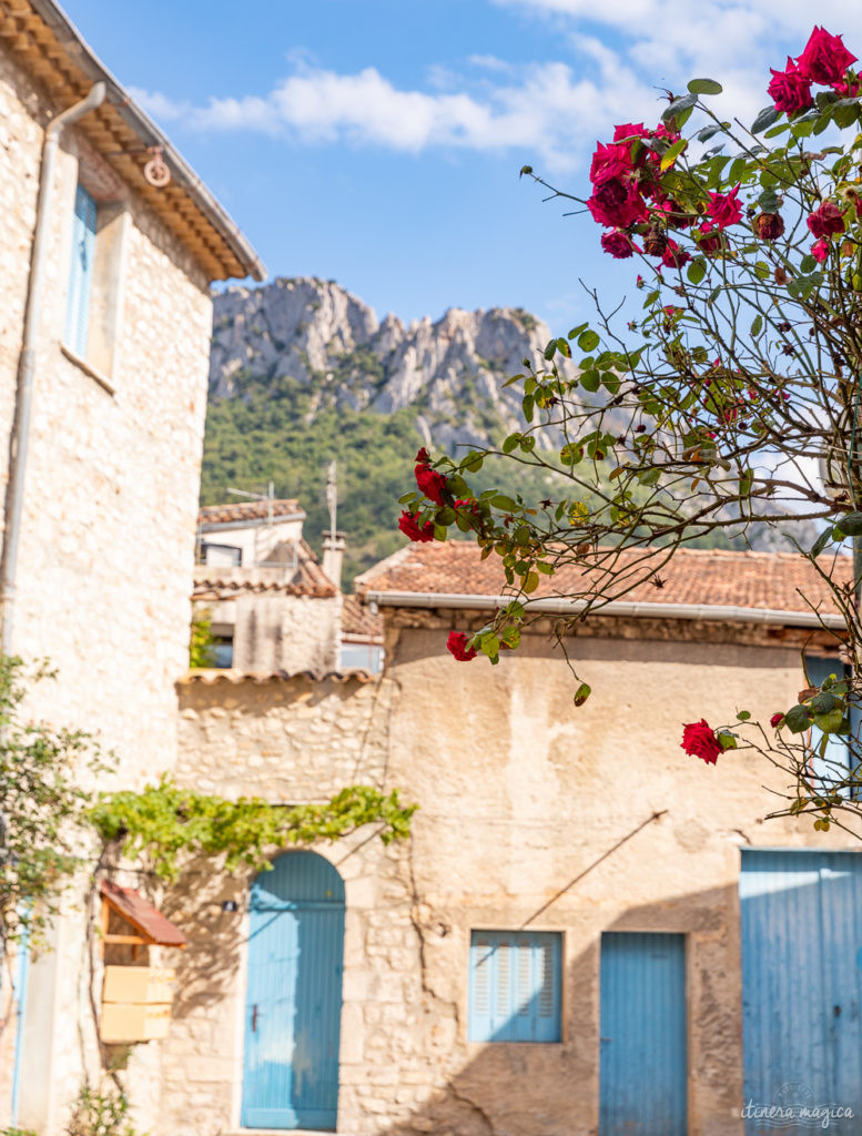 Die Ölbaum-Route in der Provence: entdecken Sie eine geheime, untouristische Provence, im Herzen des Naturparks der Baronnies provençales.