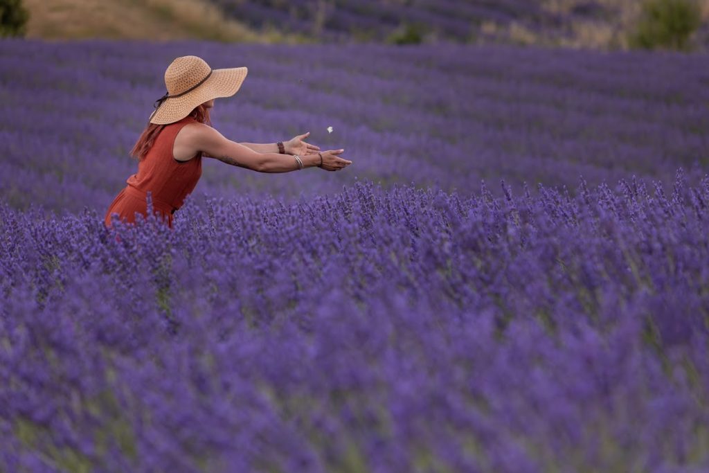 Les Baronnies provençales: plus belles randonnées, villages, activités de pleine nature et lavandes de la Drôme.